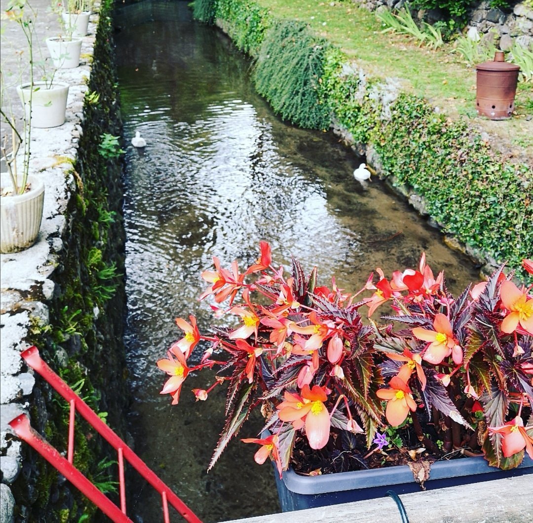 Jardin Les Forges d'Enfalits