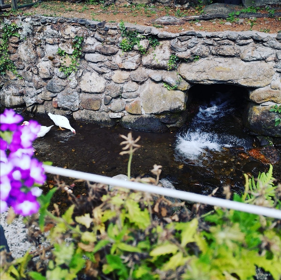 Canal des forges